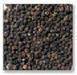 Black Pepper From Lampung Indonesia