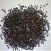 Black Pepper From Lampung Indonesia