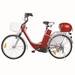 250w&CE high power electric bicycle