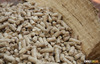 DIN plus Standard wood pellets