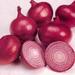 White Onion and Red Onion