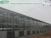 Commercial greenhouse for agriculture