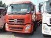Cargo Truck (Dongfeng  DFL1203A) 