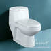 Wash down One piece toilet, sanitary ware