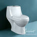 Wash down One piece toilet, sanitary ware