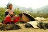 Home Stay And Soft Trekking - Hill Tribes In North-West- Viet Nam