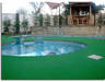 Supply of steam coal and Artificial/ Synthetic Grass And Installation
