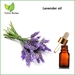 Lavender oil, Lavender oil for skin, Lavender oil for sleep