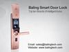 Reliable digital fingerprint& keypad password lock factoryZF-16S