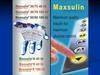 Maxsulin Human Insulin (rDNA) 