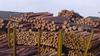 Wood logs and timber from Ukraine