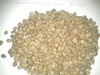 Kenya Arabica Coffee