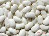 Large White Kidney Beans--50pcs/100g