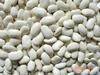 Large White Kidney Beans--50pcs/100g