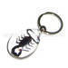 Acrylic real Bug Key Chains (Very unique) 