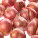 Small Onions