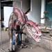 Animatronic Dinosaur Model Dinosaur Costume To Sale