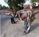 Animatronic Dinosaur Model Dinosaur Costume To Sale