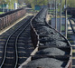 Anthracite, Bituminous, Lignite Coal Origin: West Virginia