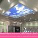 High quality sky Beautiful Antifire Pvc Ceiling Stretched Membrane