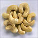 Standard quality of cashew nuts for sale