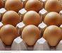 Outeniqua Farm Fresh Eggs