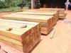 Timber lumber for sale