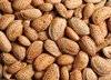 We are supplier of dry fruits, kernel and nuts.