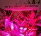 Led grow light/plant grow light/UFO grow light/led plant growing light