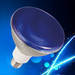 Reflector Energy-saving Lamp-PAR38 Green