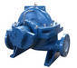DS (V) type centrifugal pumps
