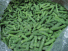 Supplying IQF green bean cut