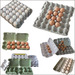 Egg box paper egg tray machine plant with automatic stacker
