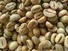 Coffee Sumatera Green Beans Arabica Grade 1