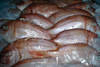 Poissons Crustaces Molusques Poutargues