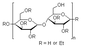 Ethyl Cellulose