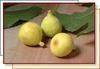 Iran Sun Dried Figs