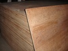 Plywood of all grades