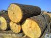 Oak/beech/ash/pine/spruce logs, timber, lumber, boards