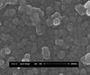 High purity Nano silicon powder (Nano Si powder) 