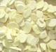 Freeze dried garlic (FD garlic) 