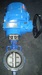 Motorized butterfly valves