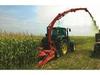 Corn silage