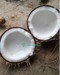 Indonesia Fresh Mature Semi Husked Coconut