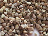 Roasted Buckwheat Kernels