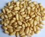 Pine nut kernel