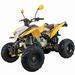 ATV200S (water cooled) with EEC