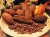 Raw Cocoa Beans For Sale