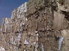 Waste paper, metal scrap, used lorry's and refrigerators for sale