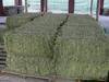 Alfalfa hay and alfalfa pellets for sale